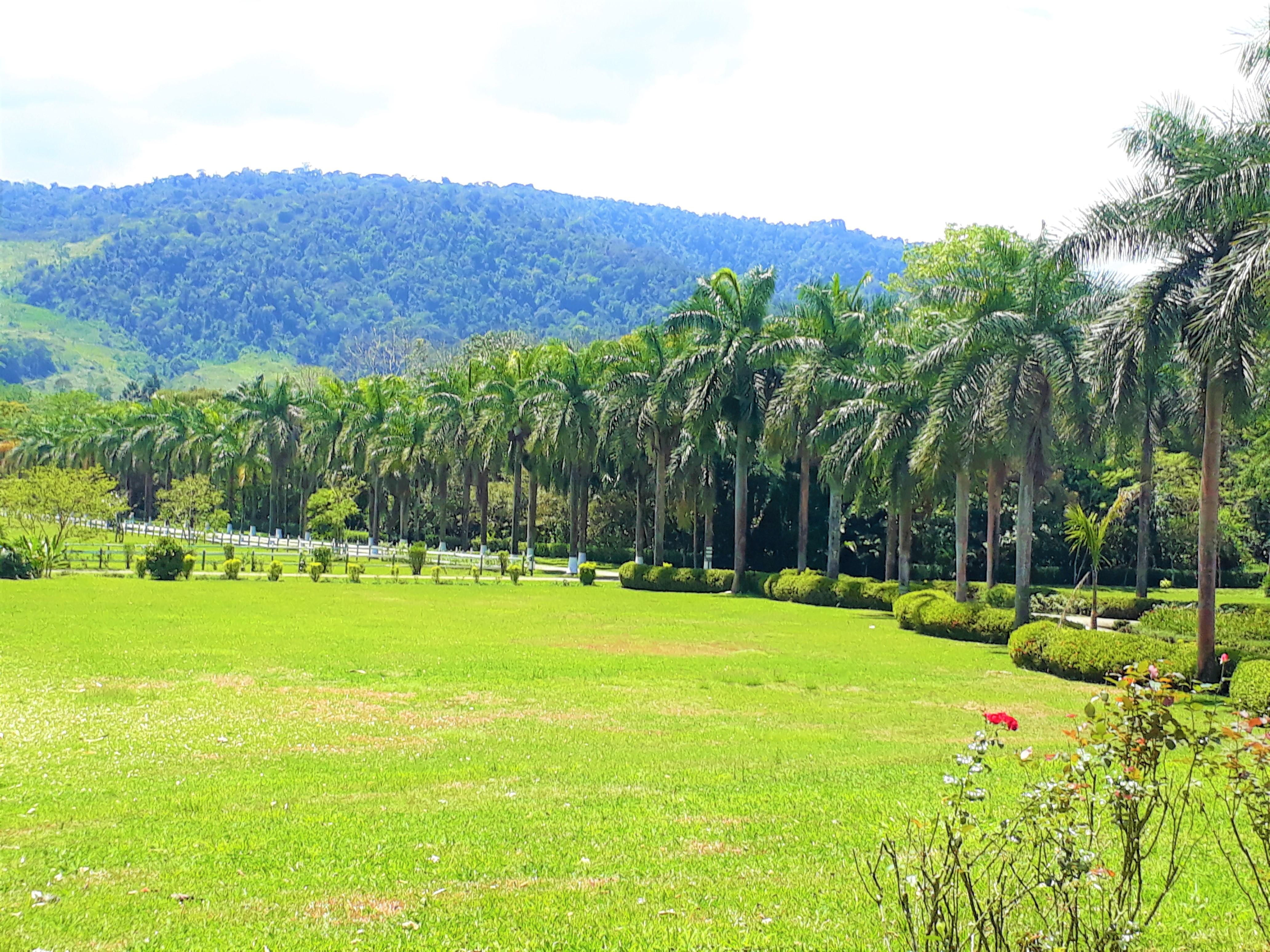 Hotel Casa Turire Turrialba Kültér fotó