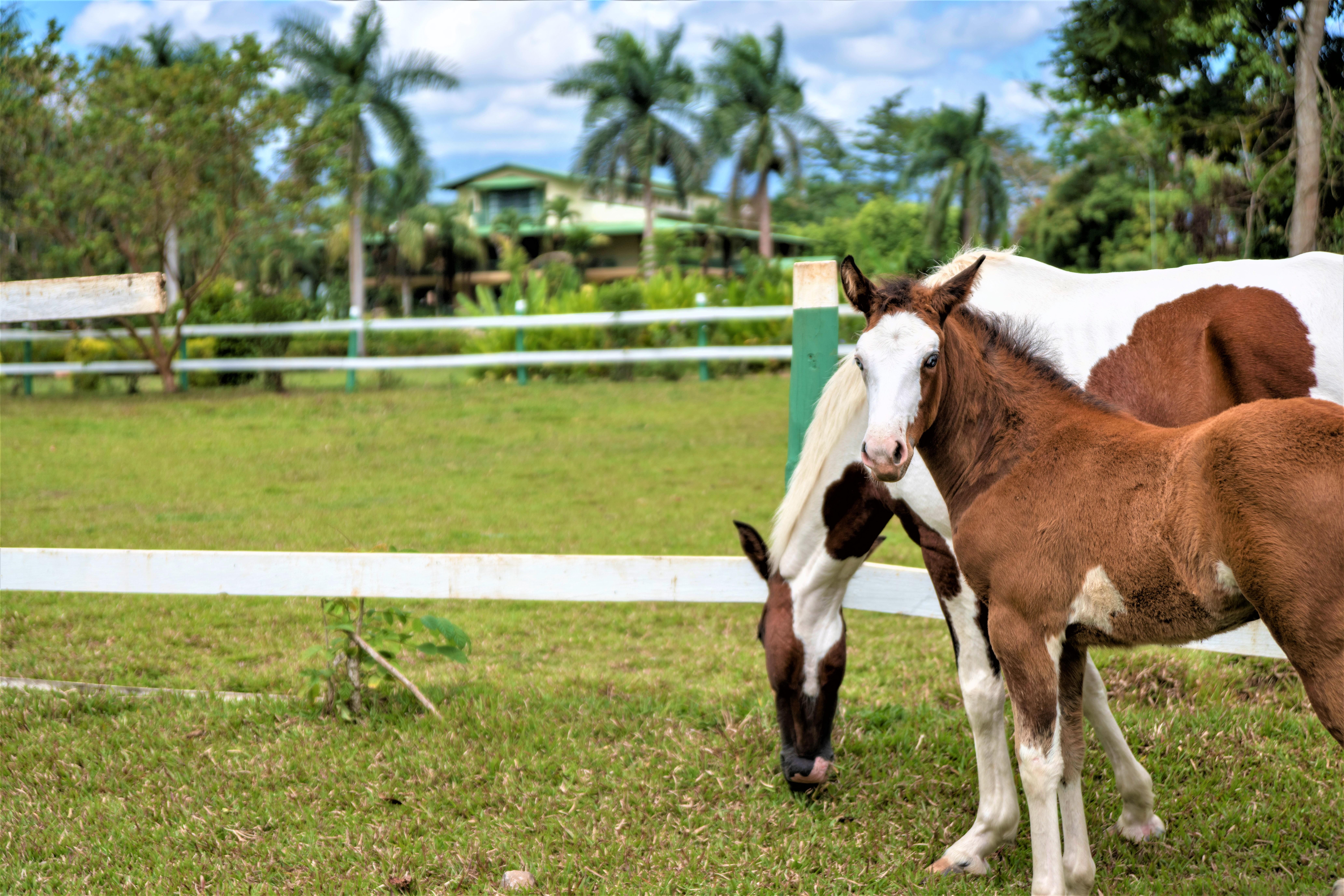 Hotel Casa Turire Turrialba Kültér fotó
