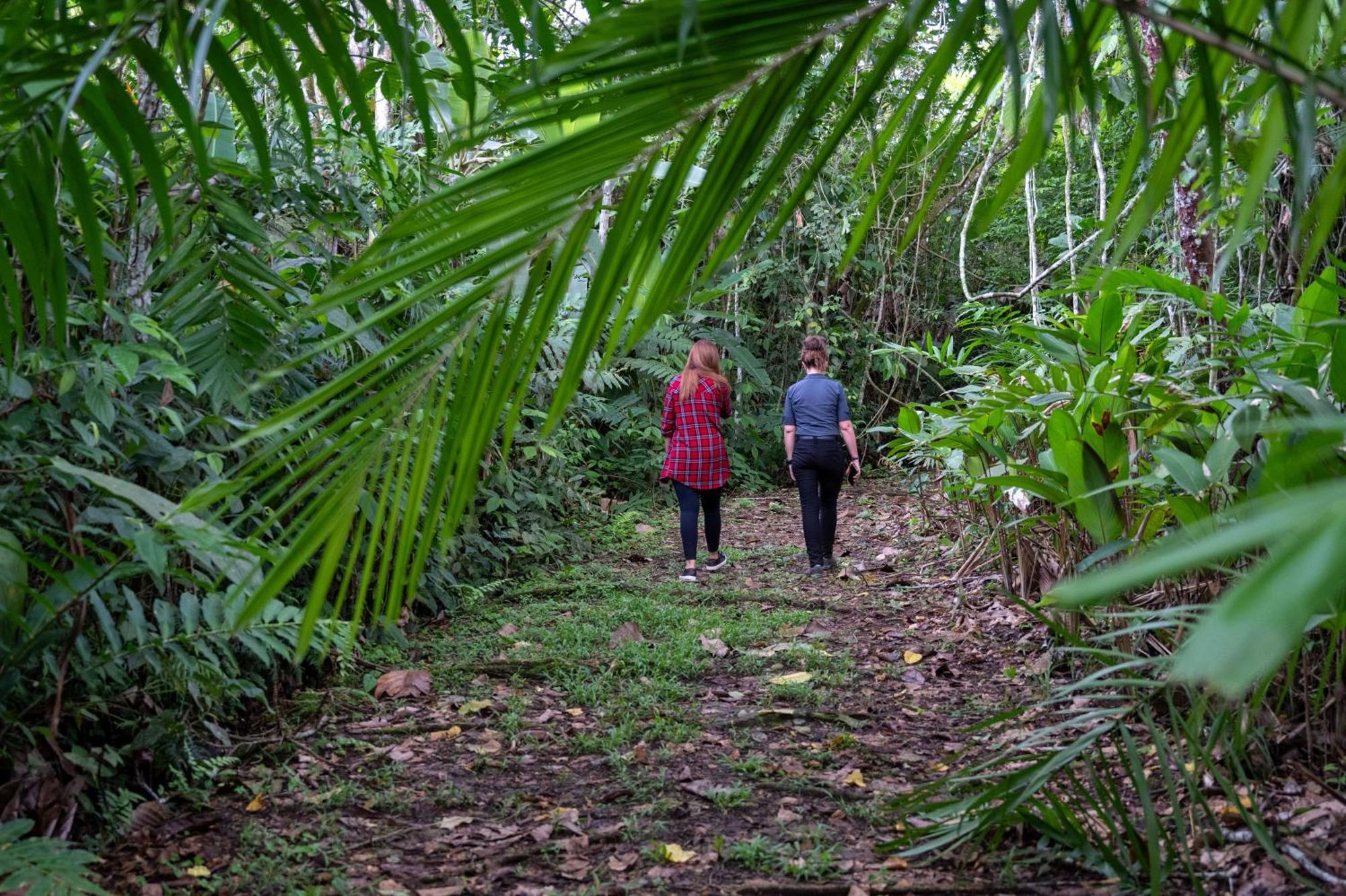 Hotel Casa Turire Turrialba Kültér fotó
